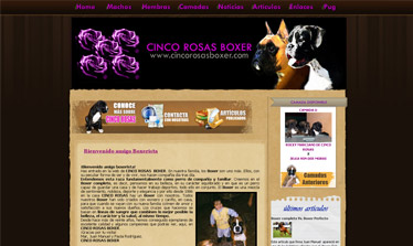 Diseño de Página Web para Cinco Rosas